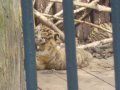 IMGP0842.JPG